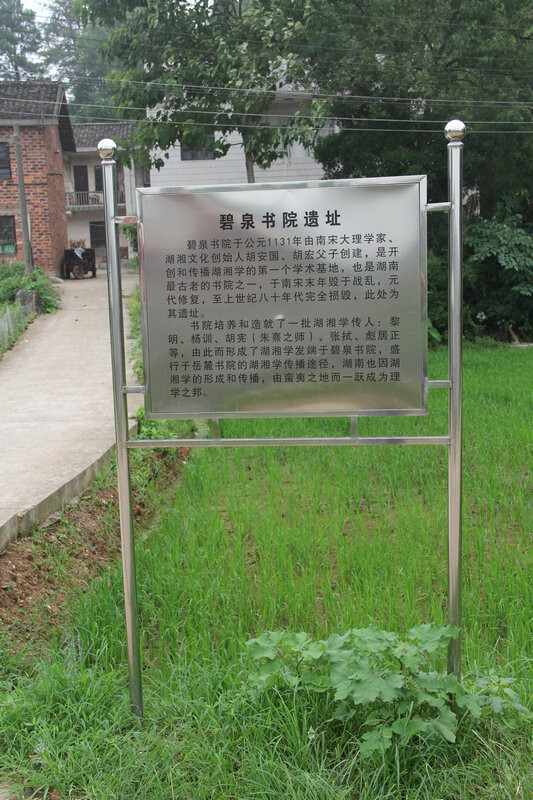 gooooal即时比分live