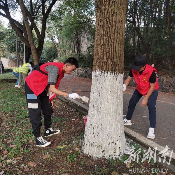 gooooal即时比分live