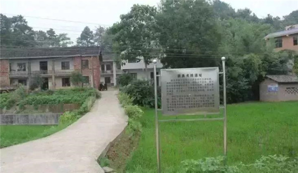 gooooal即时比分live